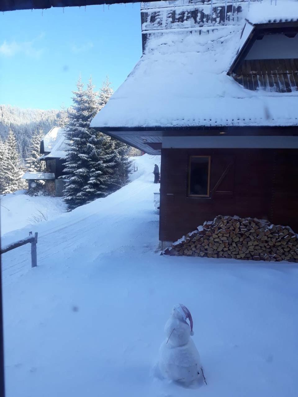 Holiday Home Elena Kopaonik Exterior photo